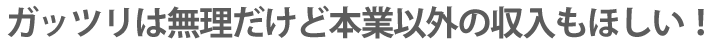 ガッツリは無理だけど本業以外の収入もほしい！